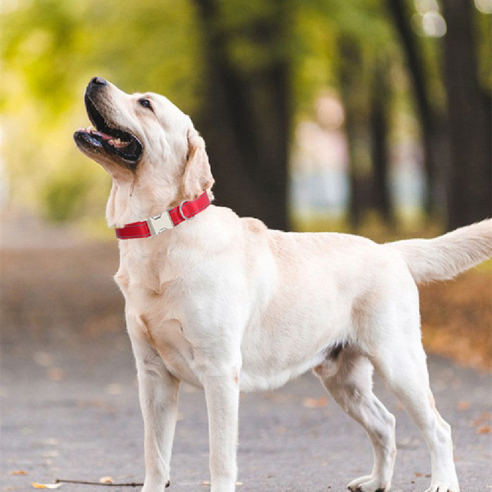 Collier Réfléchissant en Nylon pour Chien – vue 1