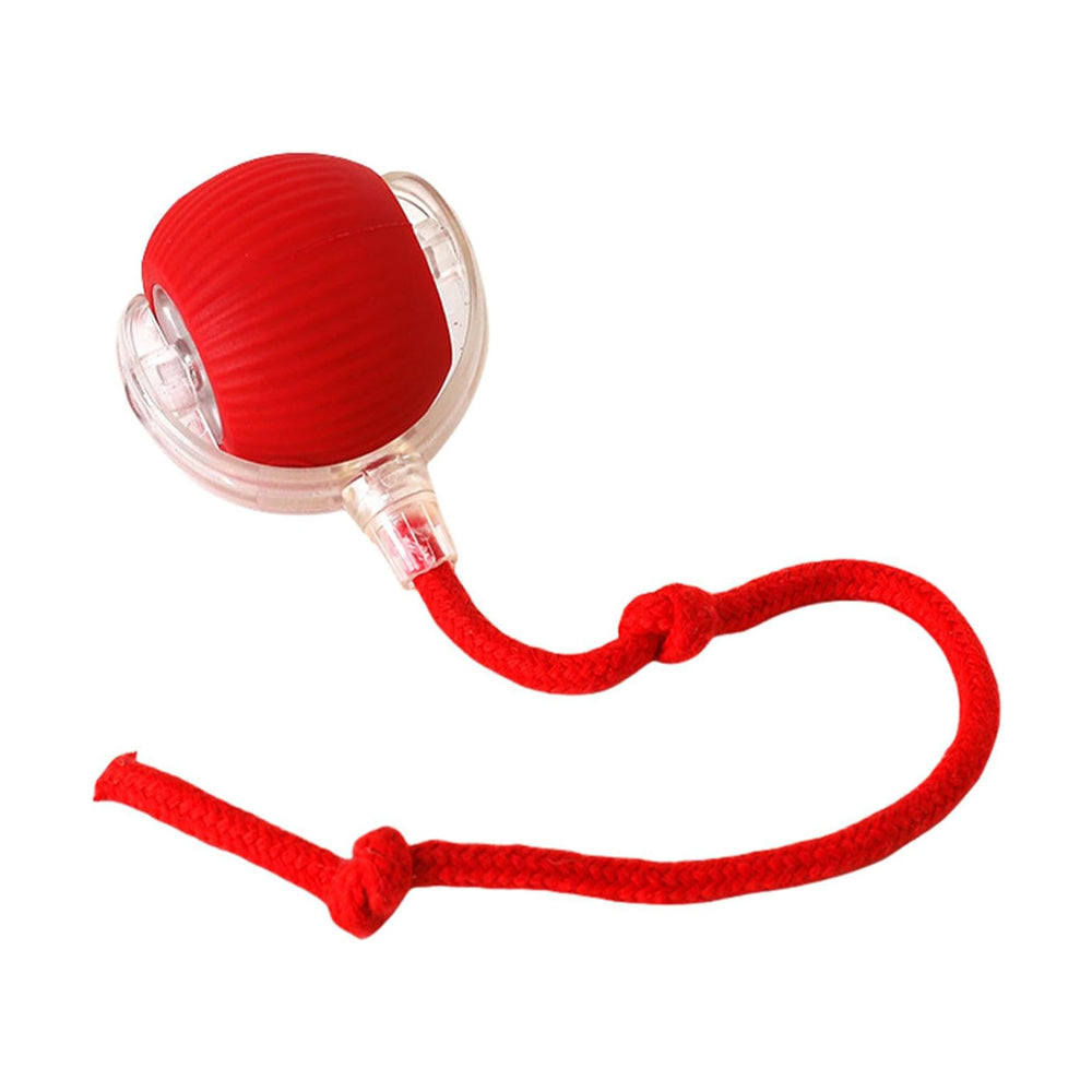 Balle Roulante Interactive pour Chat – vue 1