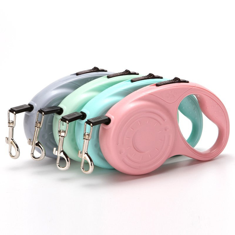 Laisse Rétractable Automatique pour Chien – vue 1