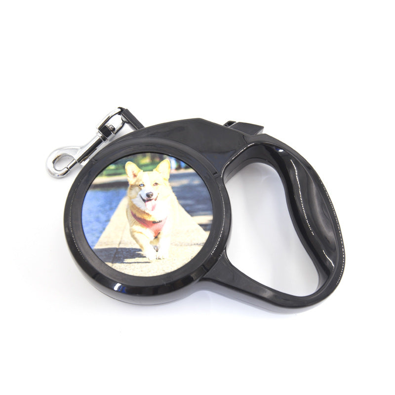 Laisse Rétractable 3 m pour Petit Chien – vue 6