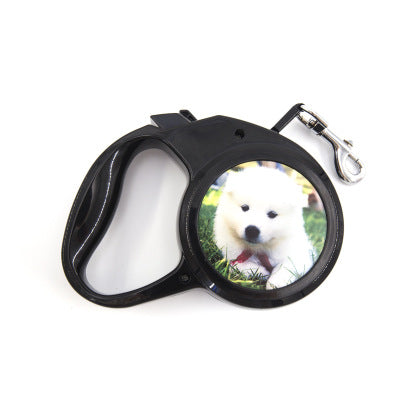 Laisse Rétractable 3 m pour Petit Chien – vue 1