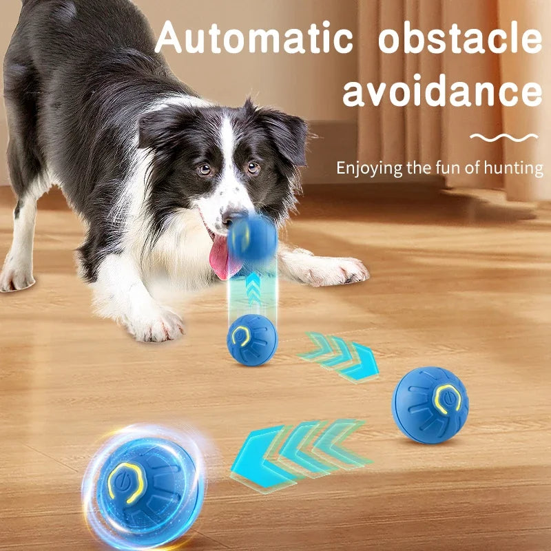 Balle Interactive Rechargeable pour Chien – vue 4