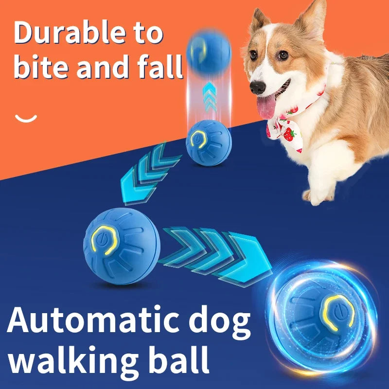 Balle Interactive Rechargeable pour Chien – vue 2