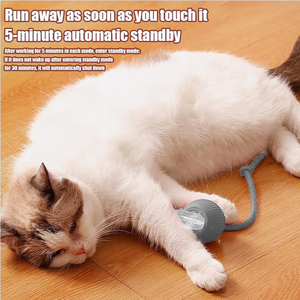 Balle Roulante Interactive pour Chat – vue 3