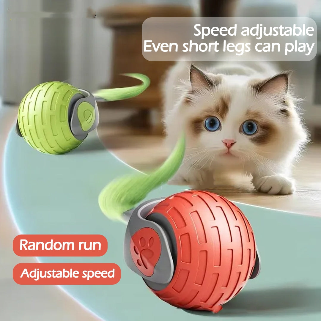Balle interactive automatique pour chat – vue 2
