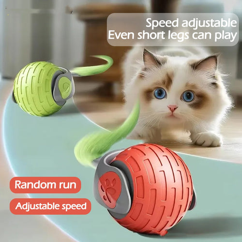 Balle interactive automatique pour chat – vue 2