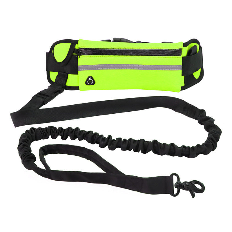 Laisse mains libres avec ceinture pour chien / Hands-free dog leash and belt — vue 8 / view 8