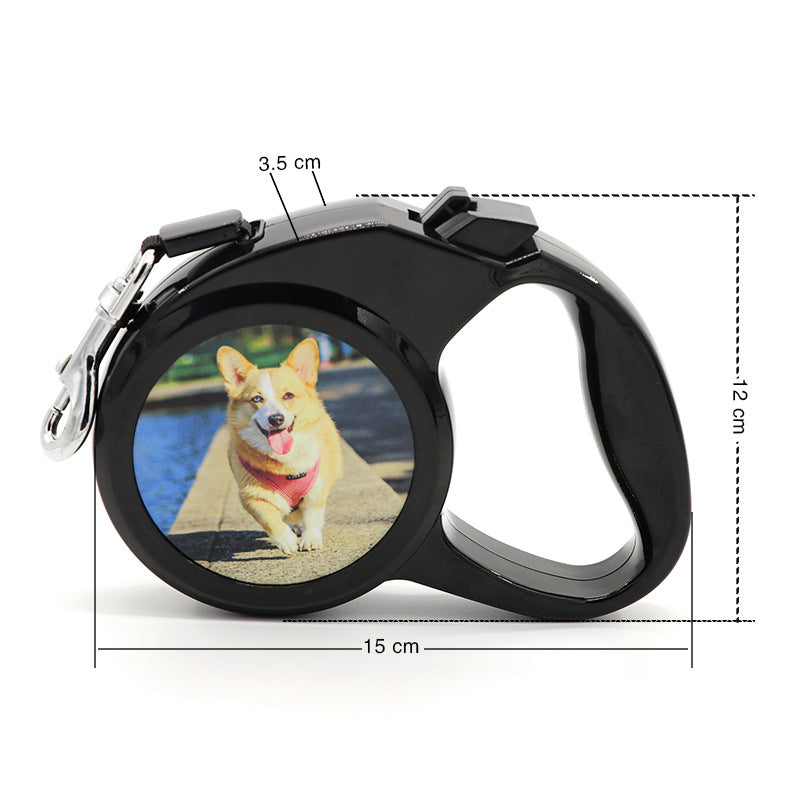 Laisse Rétractable 3 m pour Petit Chien – vue 4