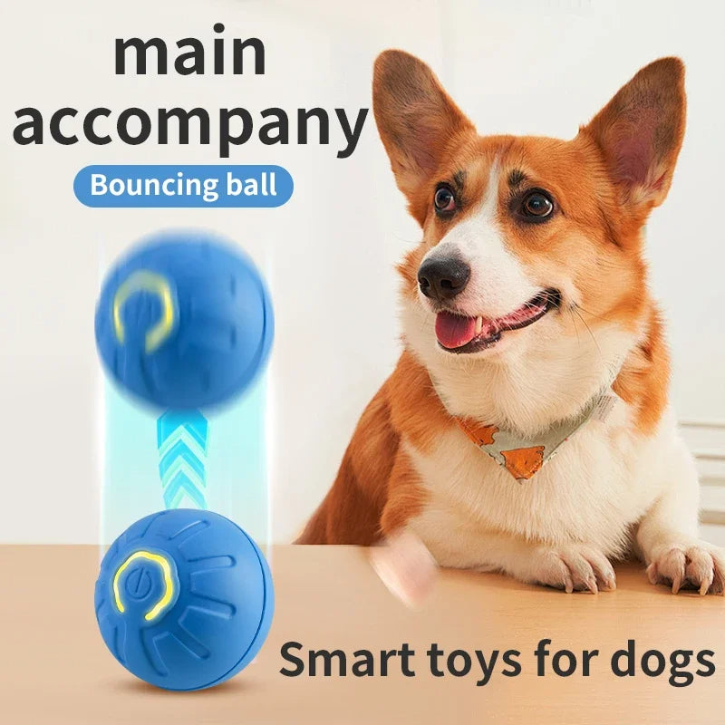 Balle Interactive Rechargeable pour Chien – vue 9