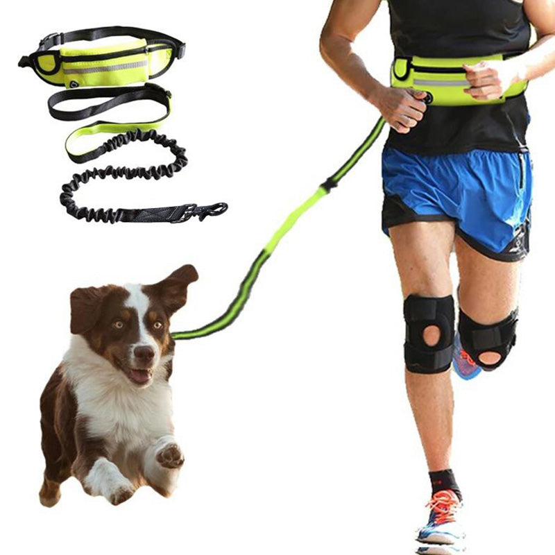 Laisse mains libres avec ceinture pour chien / Hands-free dog leash and belt — vue 1 / view 1