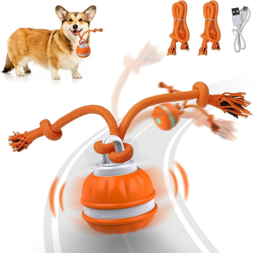 Balle interactive automatique pour chien – vue 2