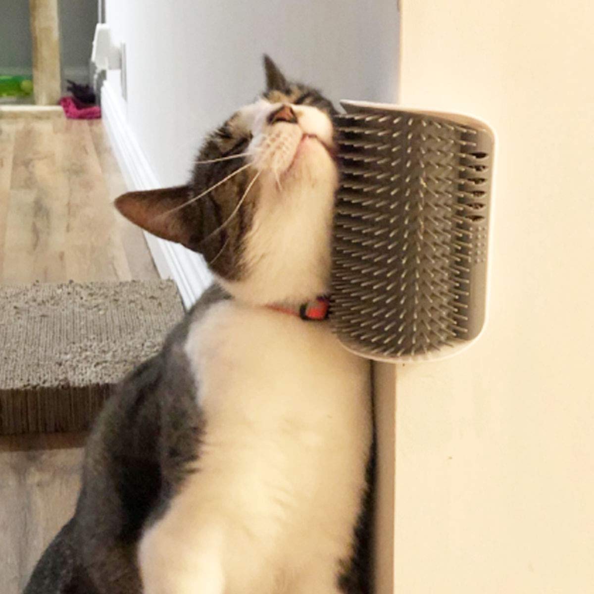 Brosse d’Angle Autonettoyante Chat & Chien – vue 1