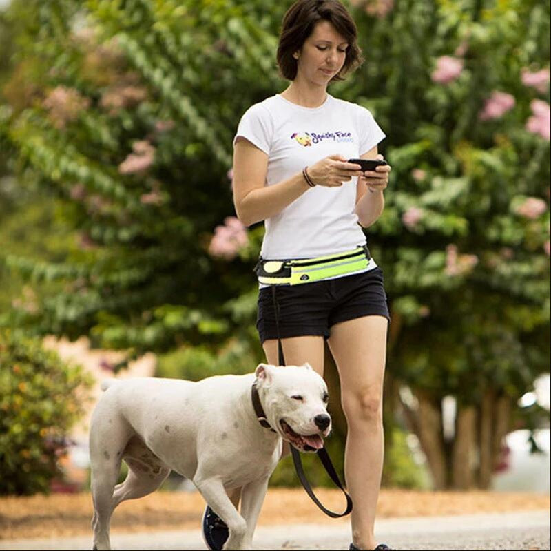 Laisse mains libres avec ceinture pour chien / Hands-free dog leash and belt — vue 4 / view 4