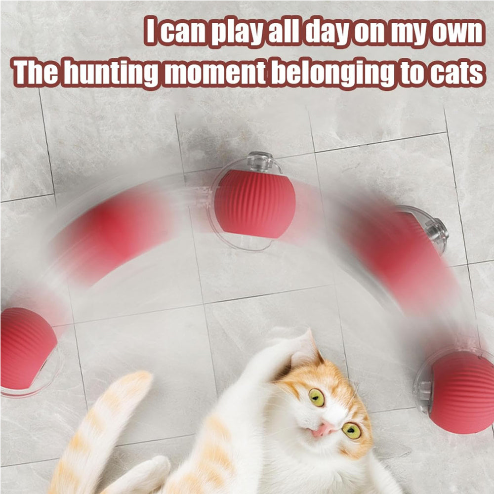Balle Roulante Interactive pour Chat – vue 9