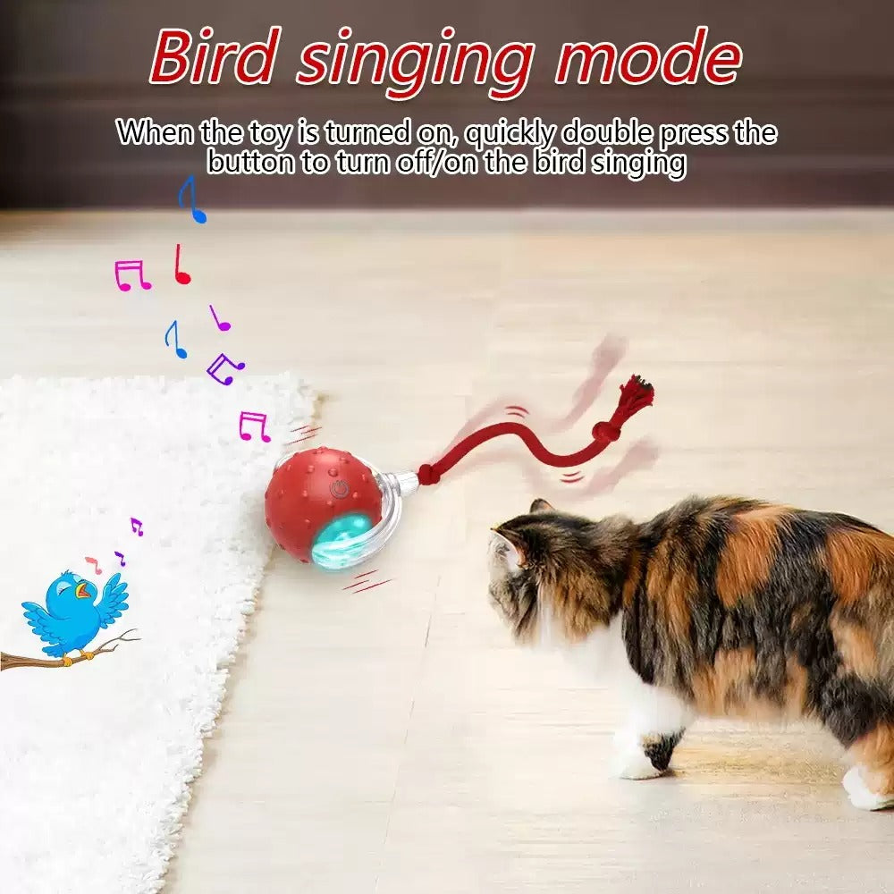 Balle Roulante Interactive pour Chat – vue 9