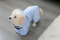 Peignoir absorbant en microfibre pour animal / Microfiber pet bathrobe — vue 11 / view 11