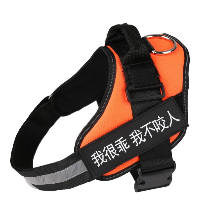 Laisse Réfléchissante Robuste pour Chien – vue 16