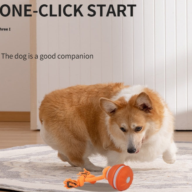 Balle interactive automatique pour chien – vue 5