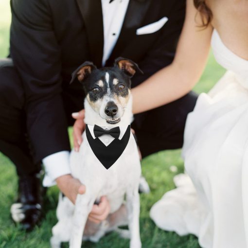 Foulard Élégant pour Chien – vue 1