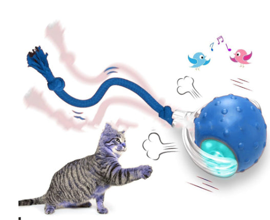 Balle Roulante Interactive pour Chat – vue 6