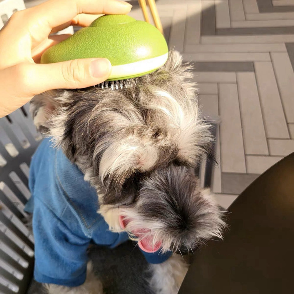 Brosse autonettoyante fruit pour chat et chien / Fruit-shaped self-cleaning pet brush — vue 10 / view 10