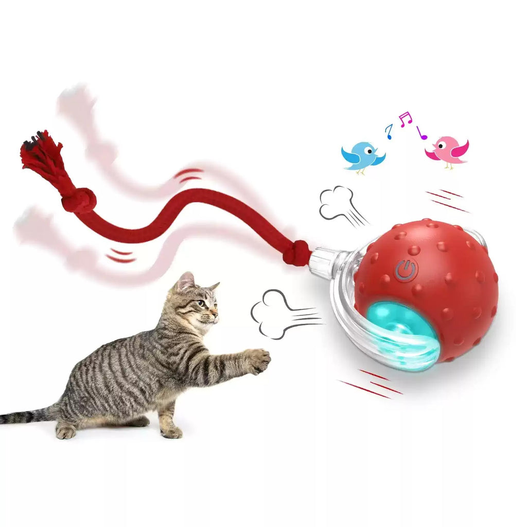 Balle Roulante Interactive pour Chat – vue 2