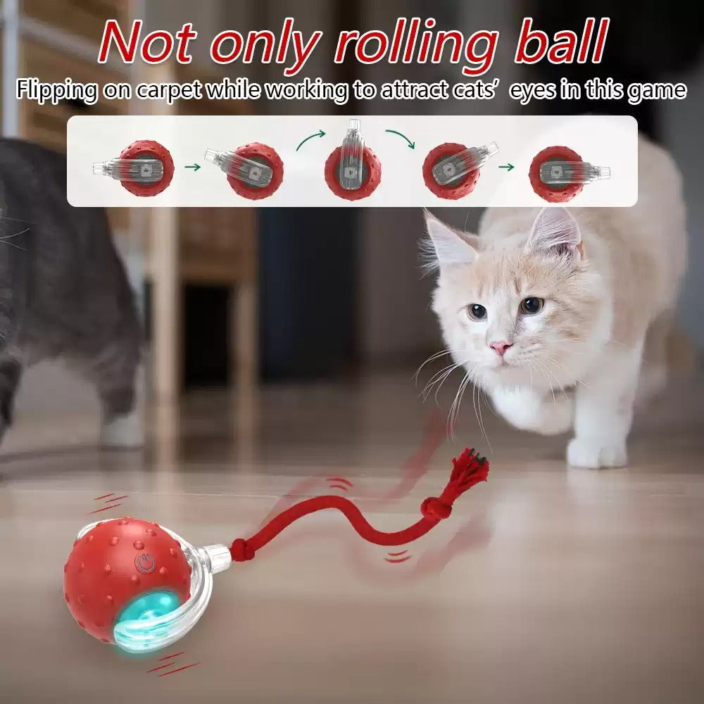 Balle Roulante Interactive pour Chat – vue 4