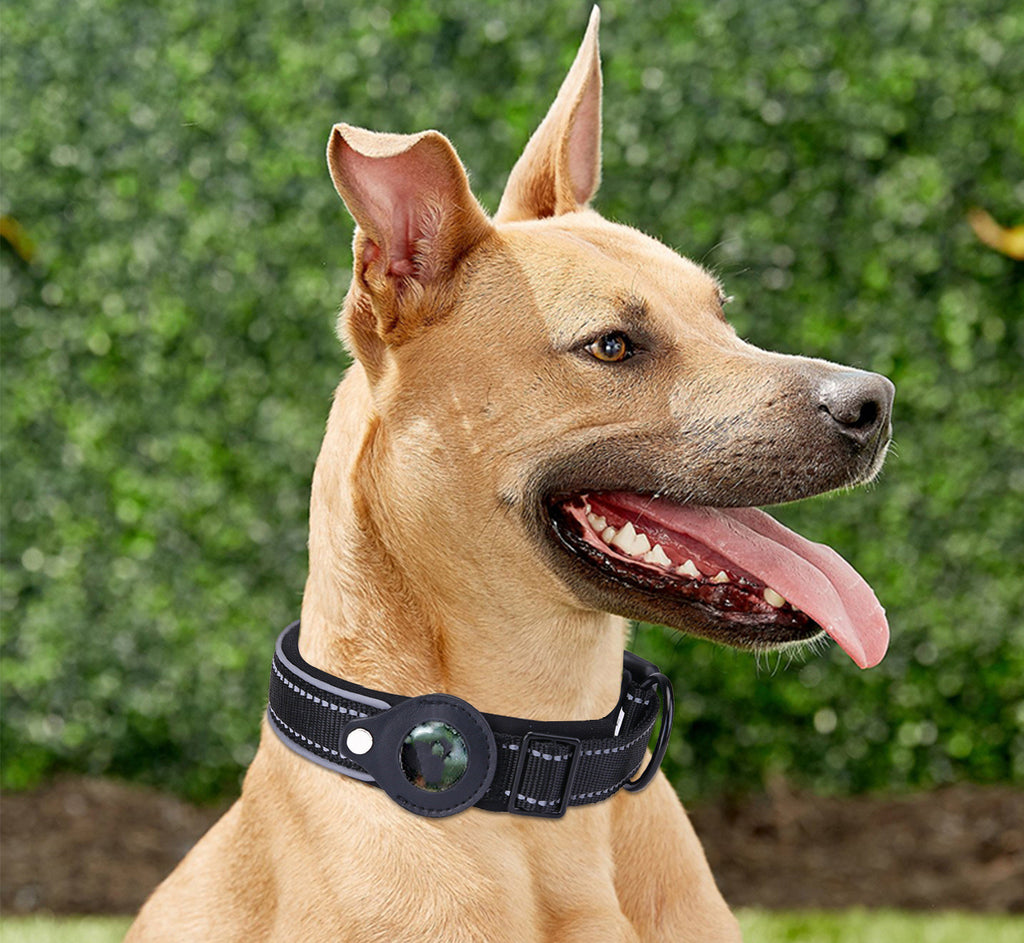 Collier Ajustable en Nylon pour Chien – vue 1
