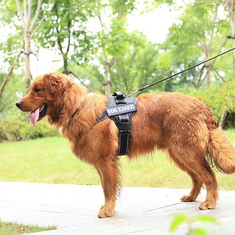 Harnais Réfléchissant Personnalisable pour Chien – vue 1