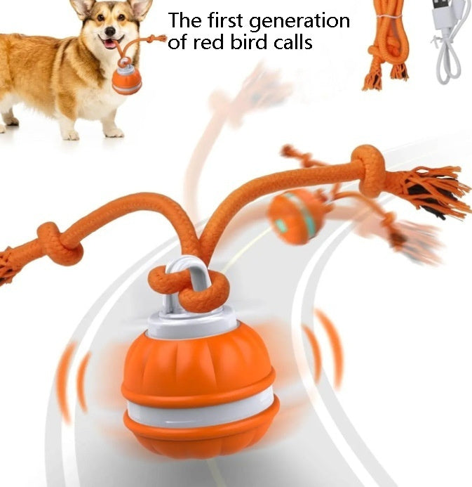 Balle interactive automatique pour chien – vue 4