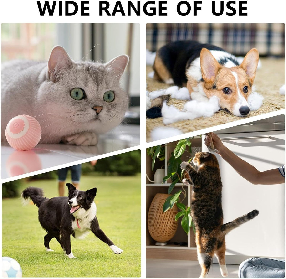 Balle Interactive Rechargeable pour Chat – vue 5