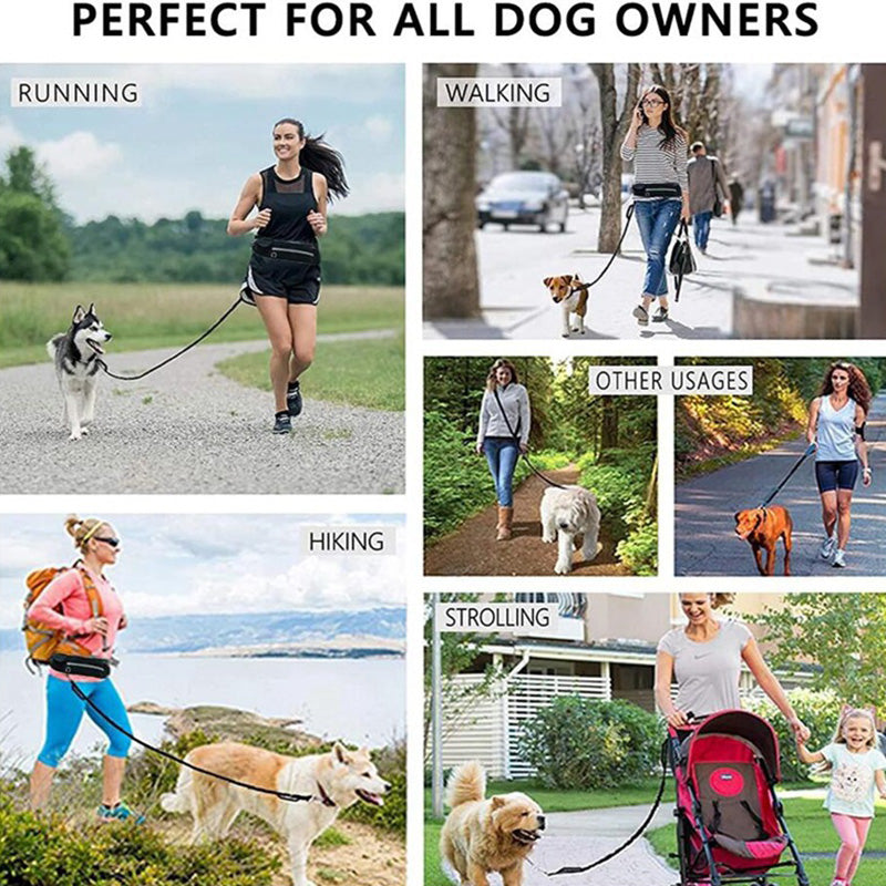 Laisse mains libres avec ceinture pour chien / Hands-free dog leash and belt — vue 3 / view 3