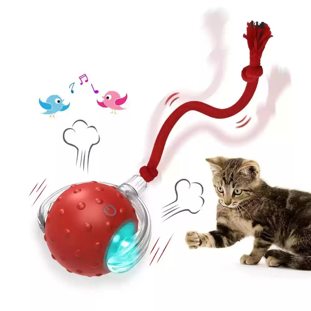 Balle Roulante Interactive pour Chat – vue 5