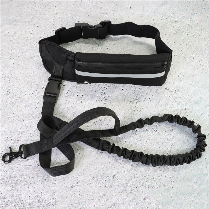 Laisse mains libres avec ceinture pour chien / Hands-free dog leash and belt — vue 2 / view 2