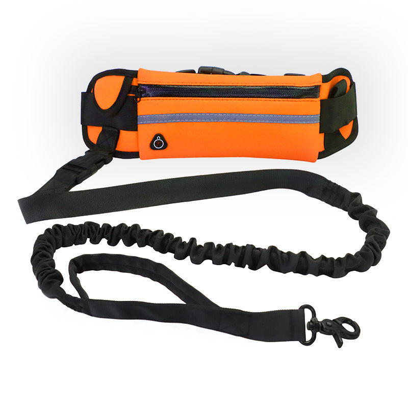 Laisse mains libres avec ceinture pour chien / Hands-free dog leash and belt — vue 5 / view 5