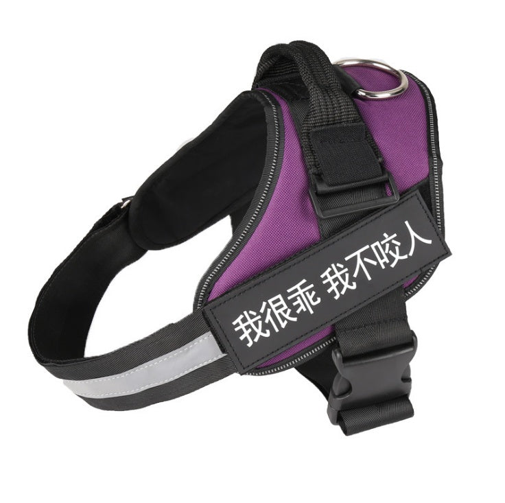 Laisse Réfléchissante Robuste pour Chien – vue 10