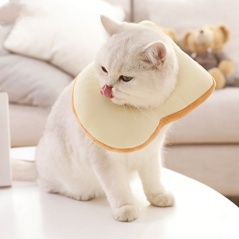 Coiffe peluche avocat ou toast pour chat / Plush avocado or toast cat headpiece — vue 2 / view 2