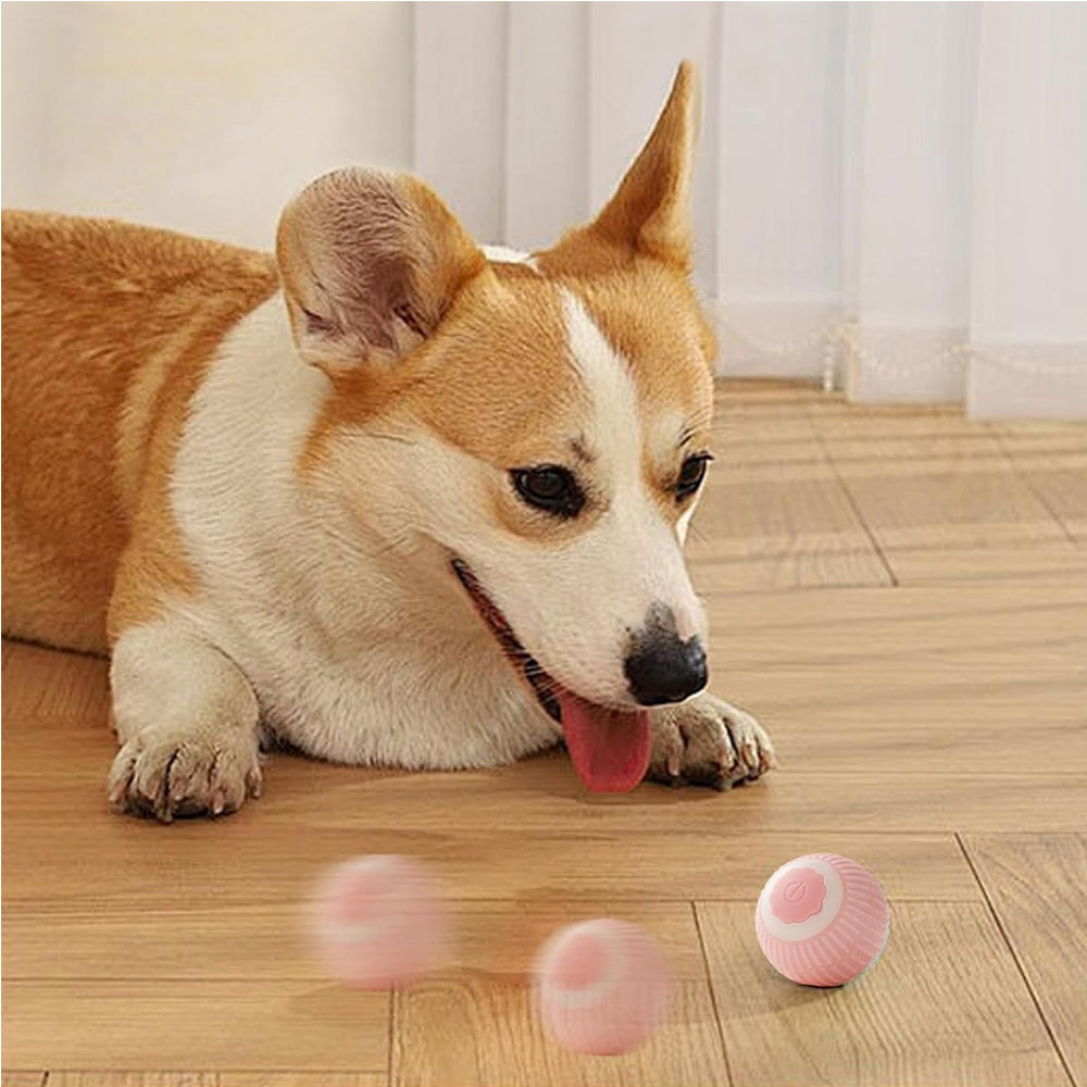 Balle Interactive Rechargeable pour Chat – vue 4