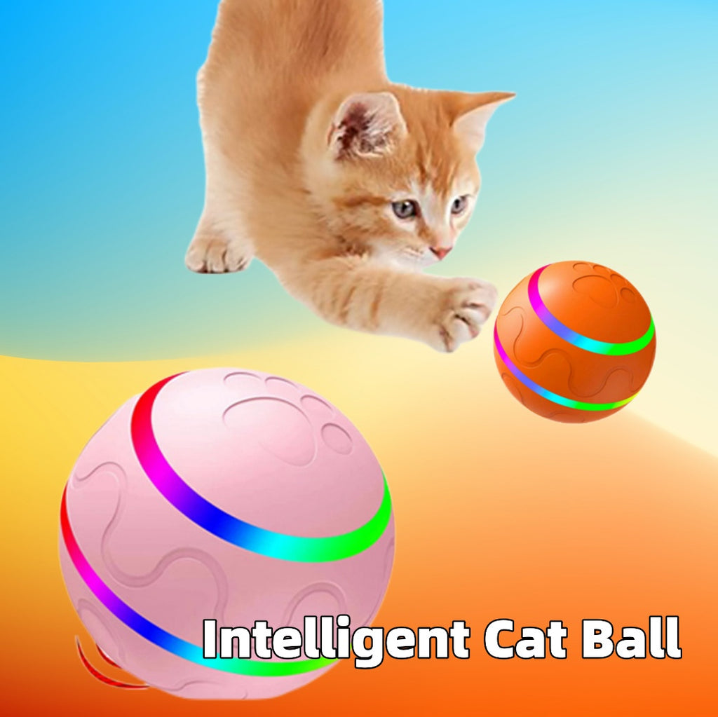 Balle interactive rechargeable pour chat / Rechargeable interactive cat ball — vue 1 / view 1